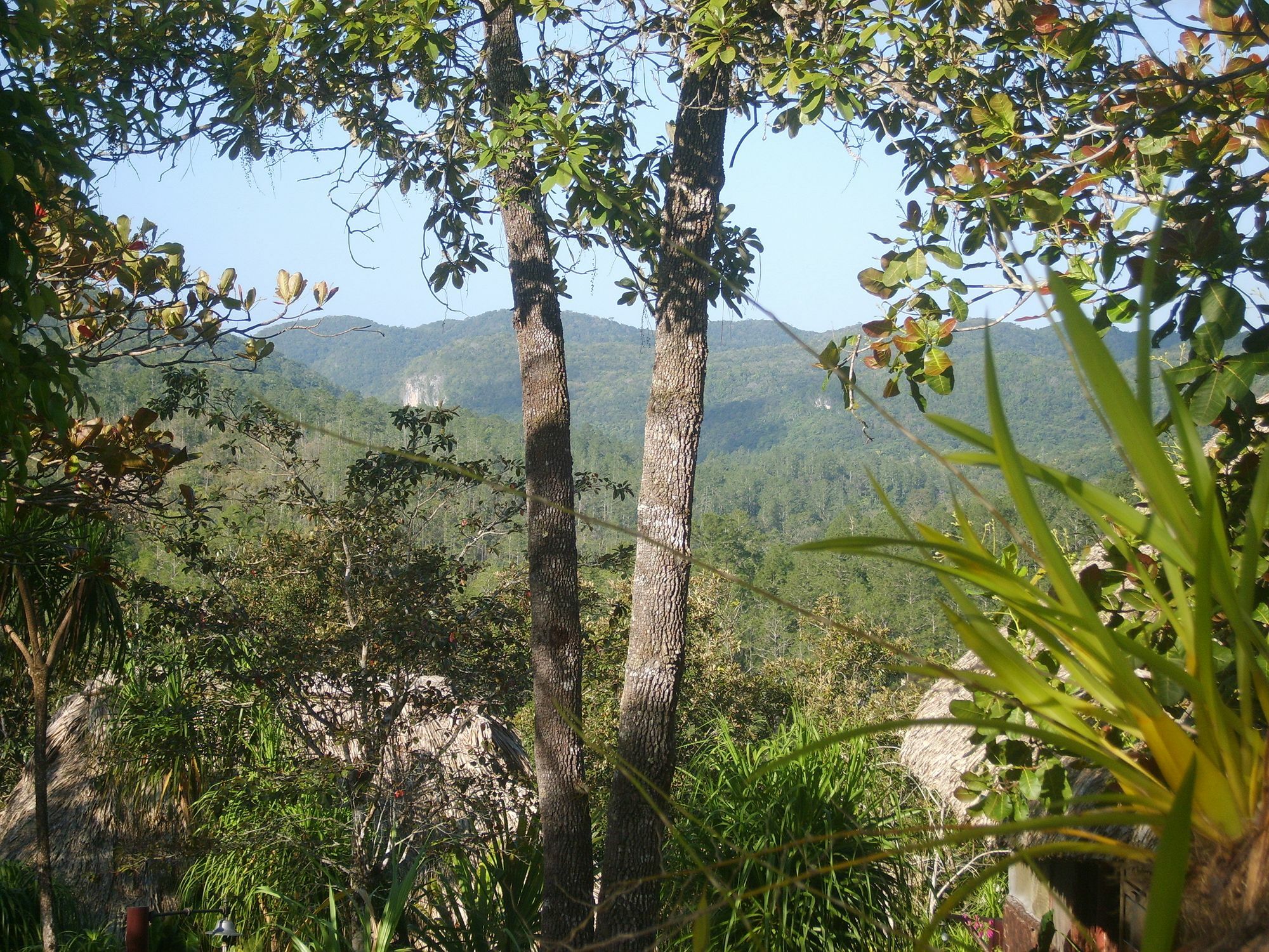 Gaia Riverlodge Unitedville 외부 사진